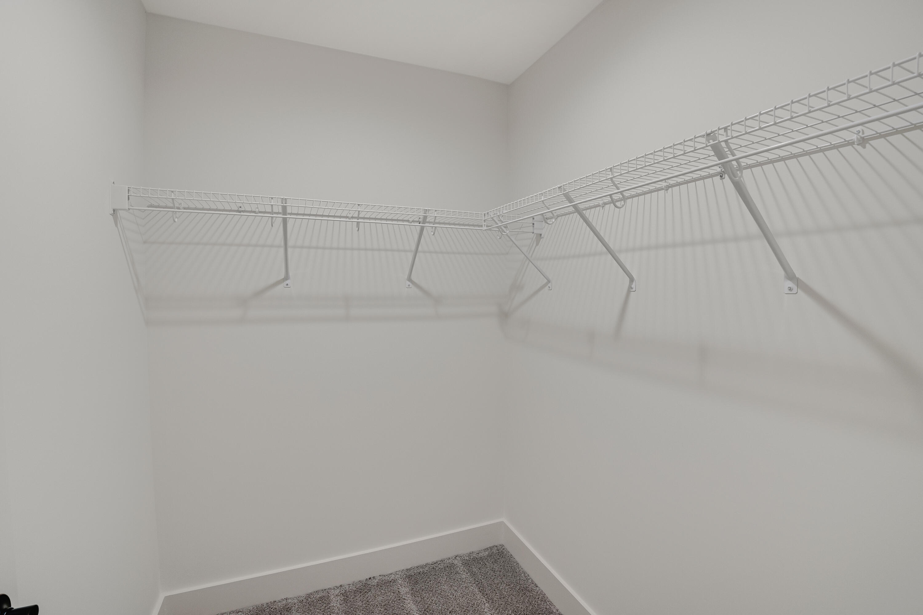 8294 Snowdrop Way Ooltewah, TN 37363 - Photo 42 of 69 DSC07013