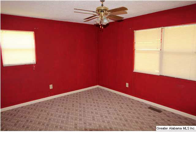 671 Black Snake Road Munford, AL 36268 - Photo 14 of 17