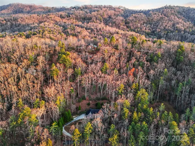 an aerial view of residential house with green space and fog