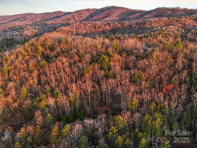 a view of city and mountain