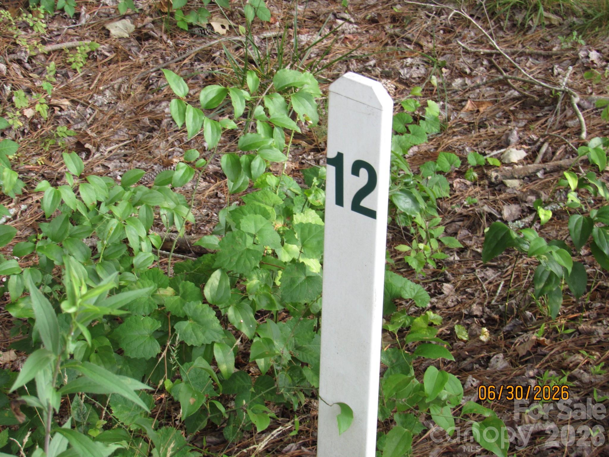 0 Church Road, Unit 12 Taylorsville, NC 28681 - Photo 3 of 7