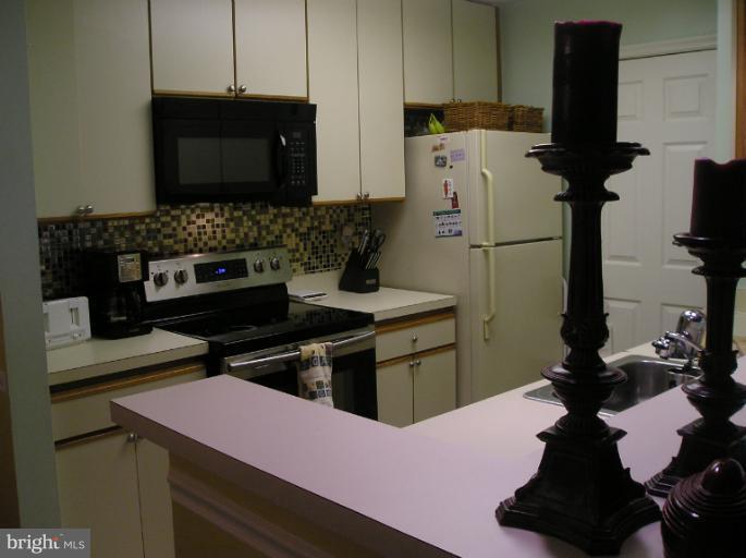 13703 Modrad Way, Unit 9B21 Silver Spring, MD 20904 - Photo 1 of 21 Kitchen