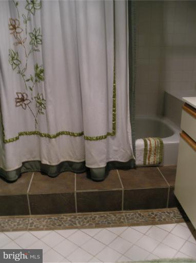 13703 Modrad Way, Unit 9B21 Silver Spring, MD 20904 - Photo 17 of 21 Bath
