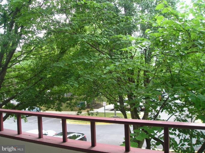 13703 Modrad Way, Unit 9B21 Silver Spring, MD 20904 - Photo 6 of 21 View