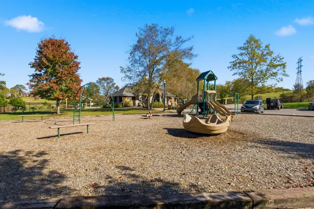 a view of a tree in a yard