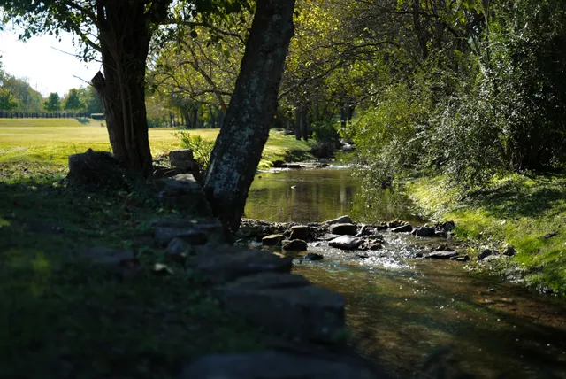 $735,000 | 208 Camellia Court, Franklin, TN 37064