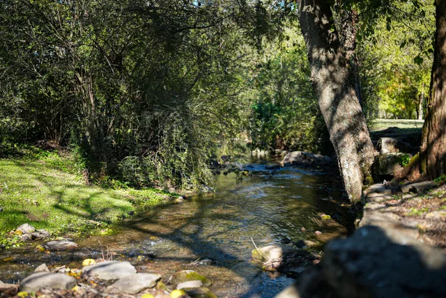 $735,000 | 208 Camellia Court, Franklin, TN 37064