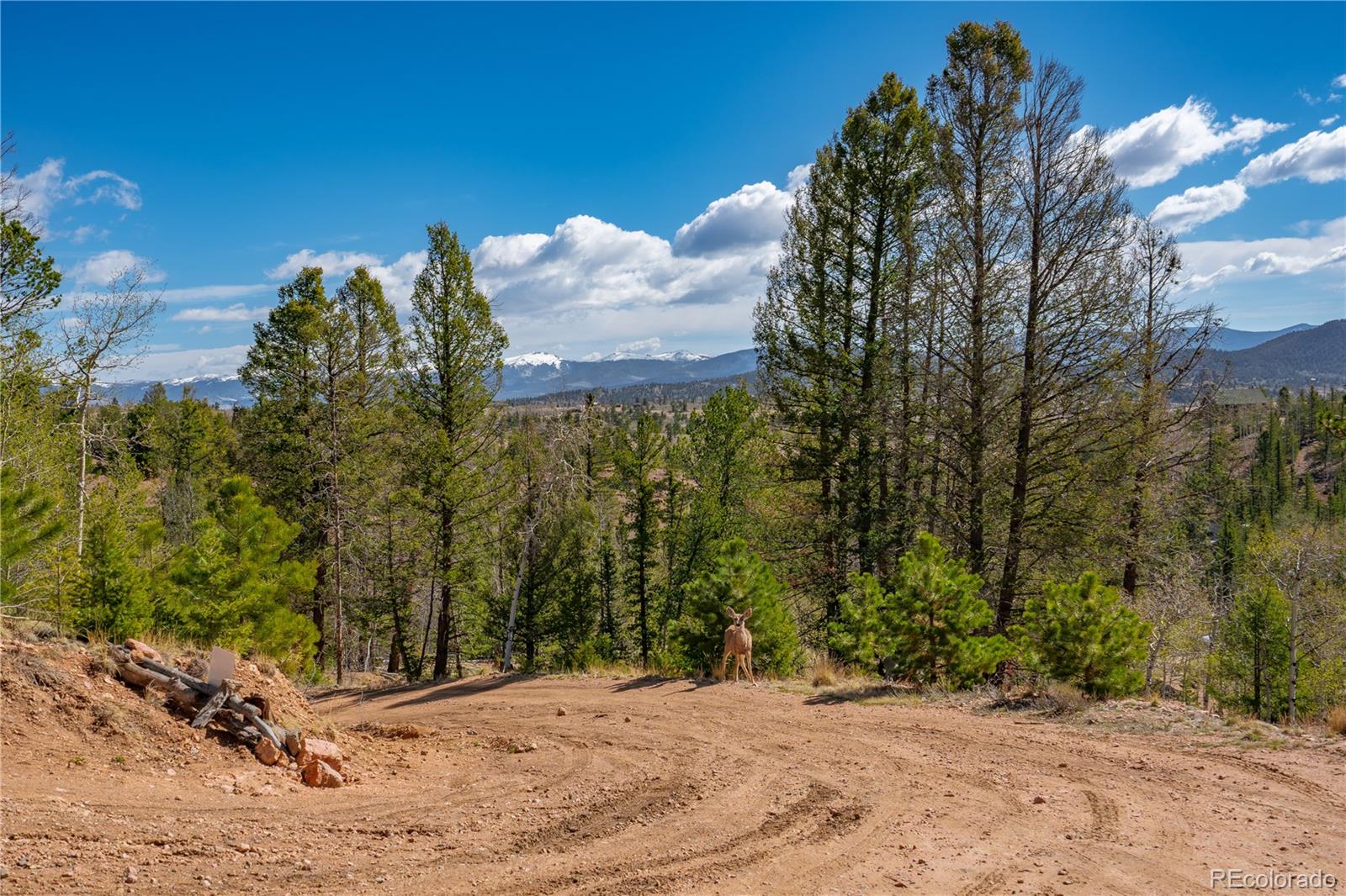 6745 Remington Road Como, CO 80432 - Photo 41 of 42