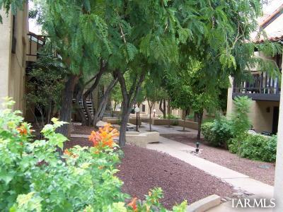 8255 North Oracle Road, Unit 106 Tucson, AZ 85704 - Photo 8 of 10 Gallery Image 8