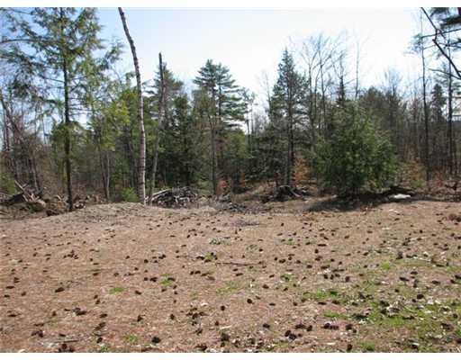 Lot#3 Pattee Pond Road Winslow, ME 04901 - Photo 8 of 11 Land/Lot.