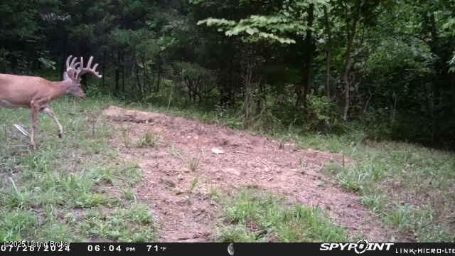 75-ac Bardstown Road Lawrenceburg, KY 40342 - Photo 10 of 15 image008