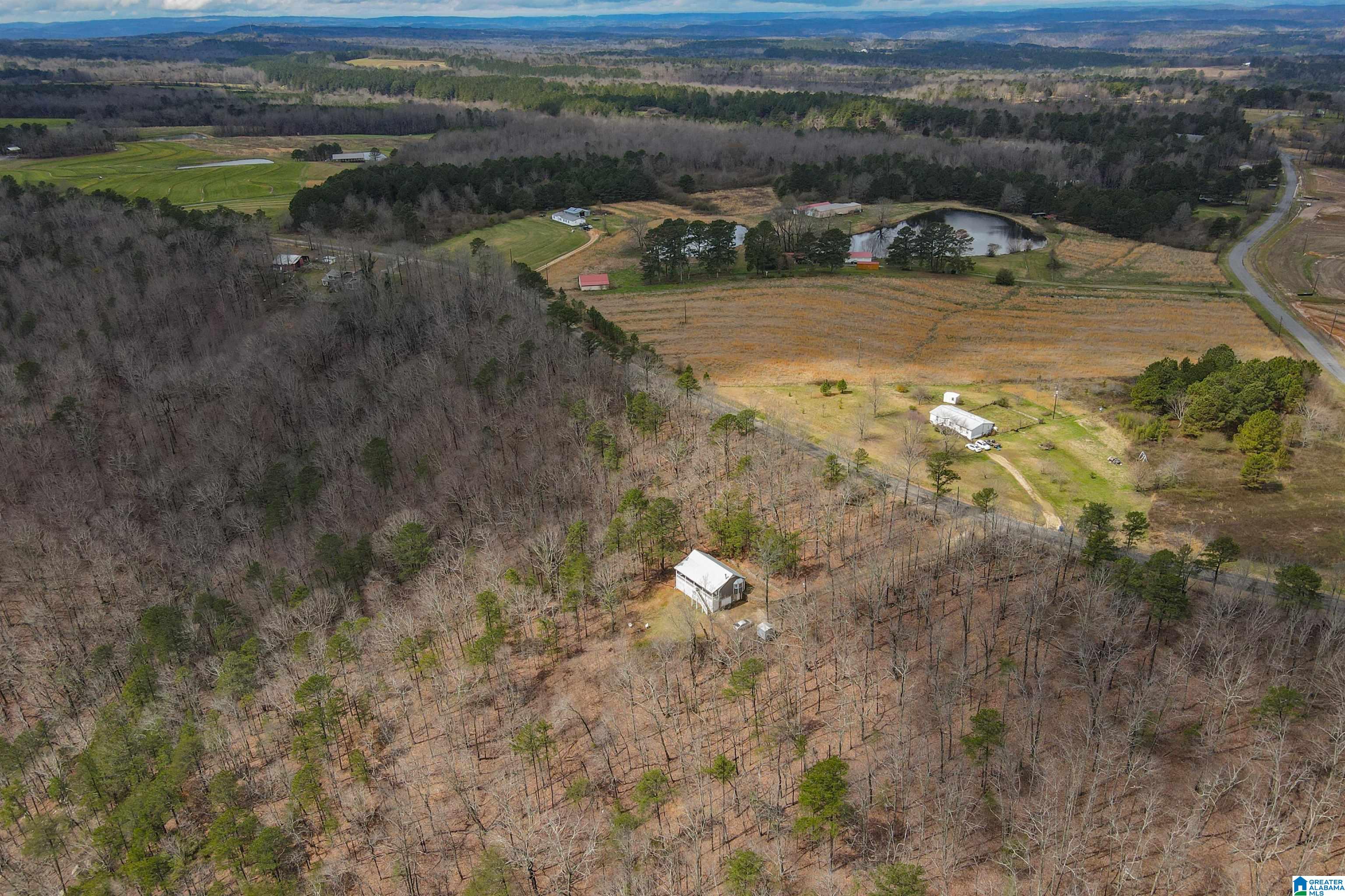 4076 Co Highway 24 Springville, AL 35146 - Photo 5 of 50