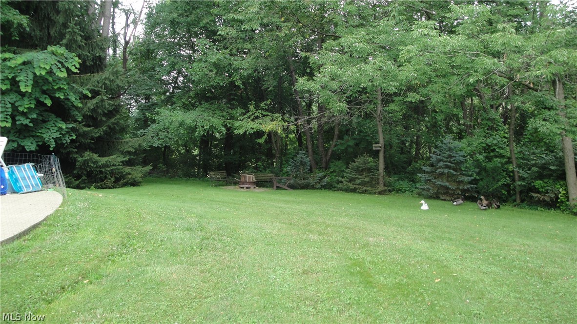 4210 Bell Road Seville, OH 44273 - Photo 11 of 26 Gallery Image 11