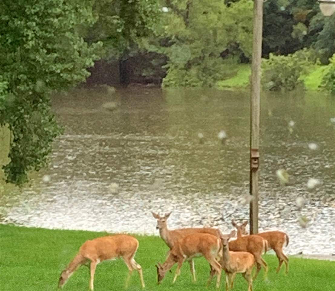 1621 McRaven Road Clinton, MS 39056 - Photo 33 of 49 Photo 33