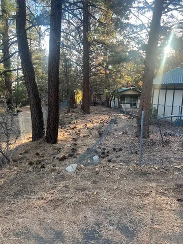 a view of a backyard with large trees and a small barn