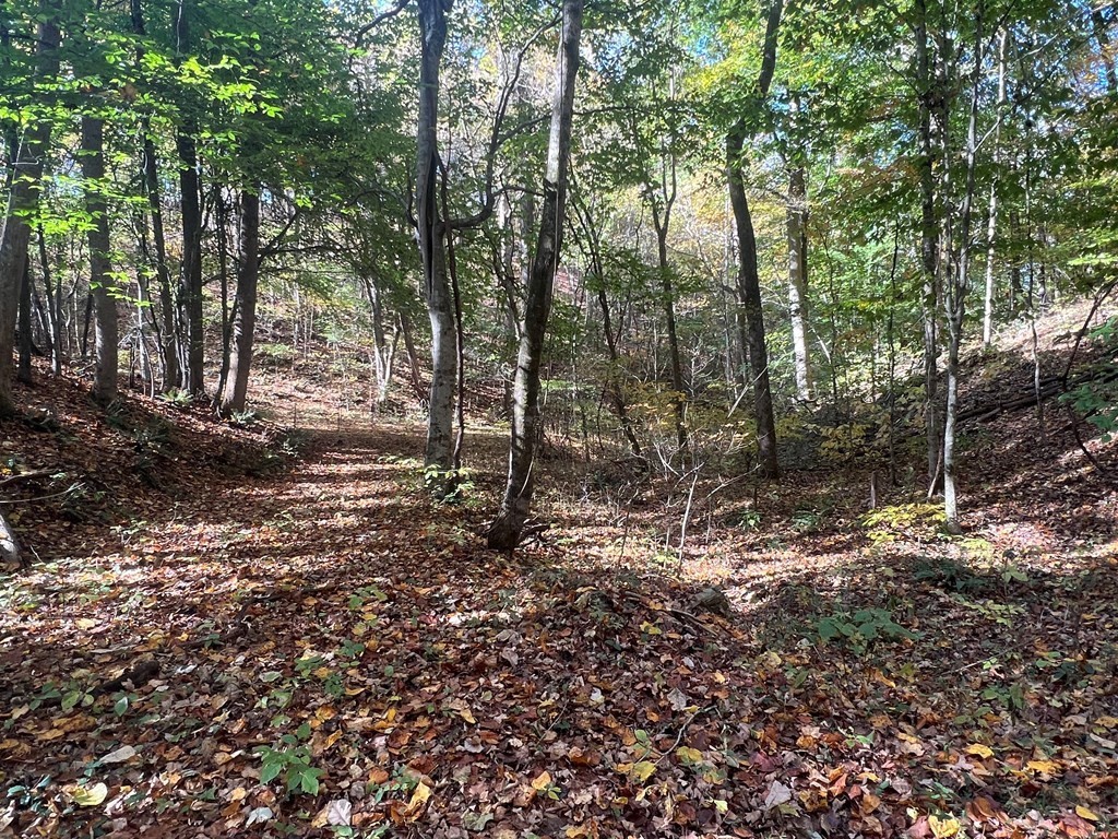 0 Manning Hollow Road Sevierville, TN 37876 - Photo 8 of 14