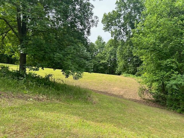 1625 New Buckley Road Ashland, KY 41102 - Photo 8 of 15
