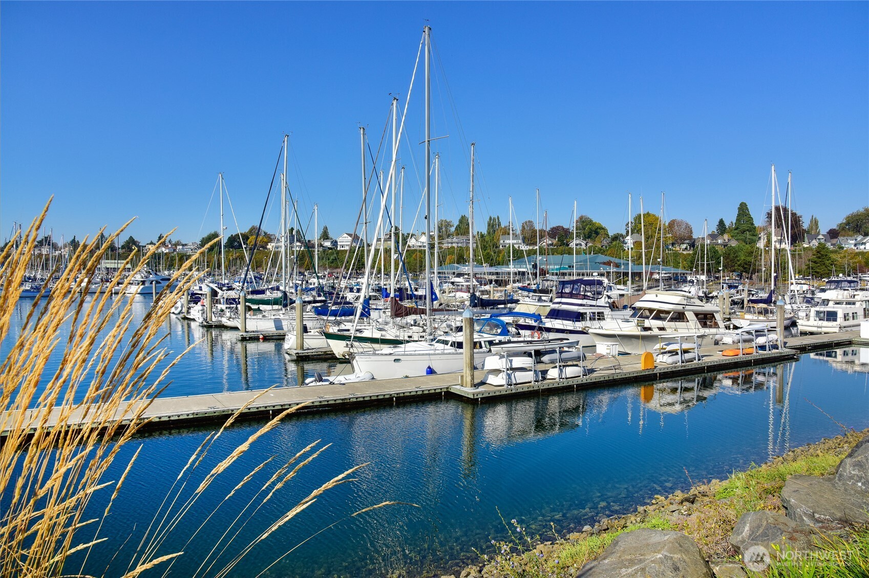 819 High Street, Unit 317 Bellingham, WA 98225 - Photo 36 of 39