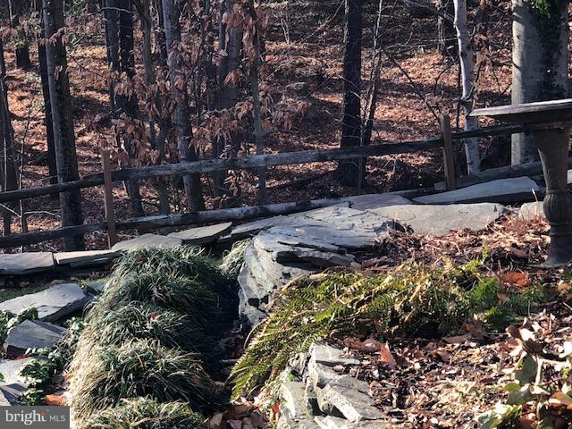 7238 Whitson Drive Springfield, VA 22153 - Photo 3 of 3 Exterior (General)