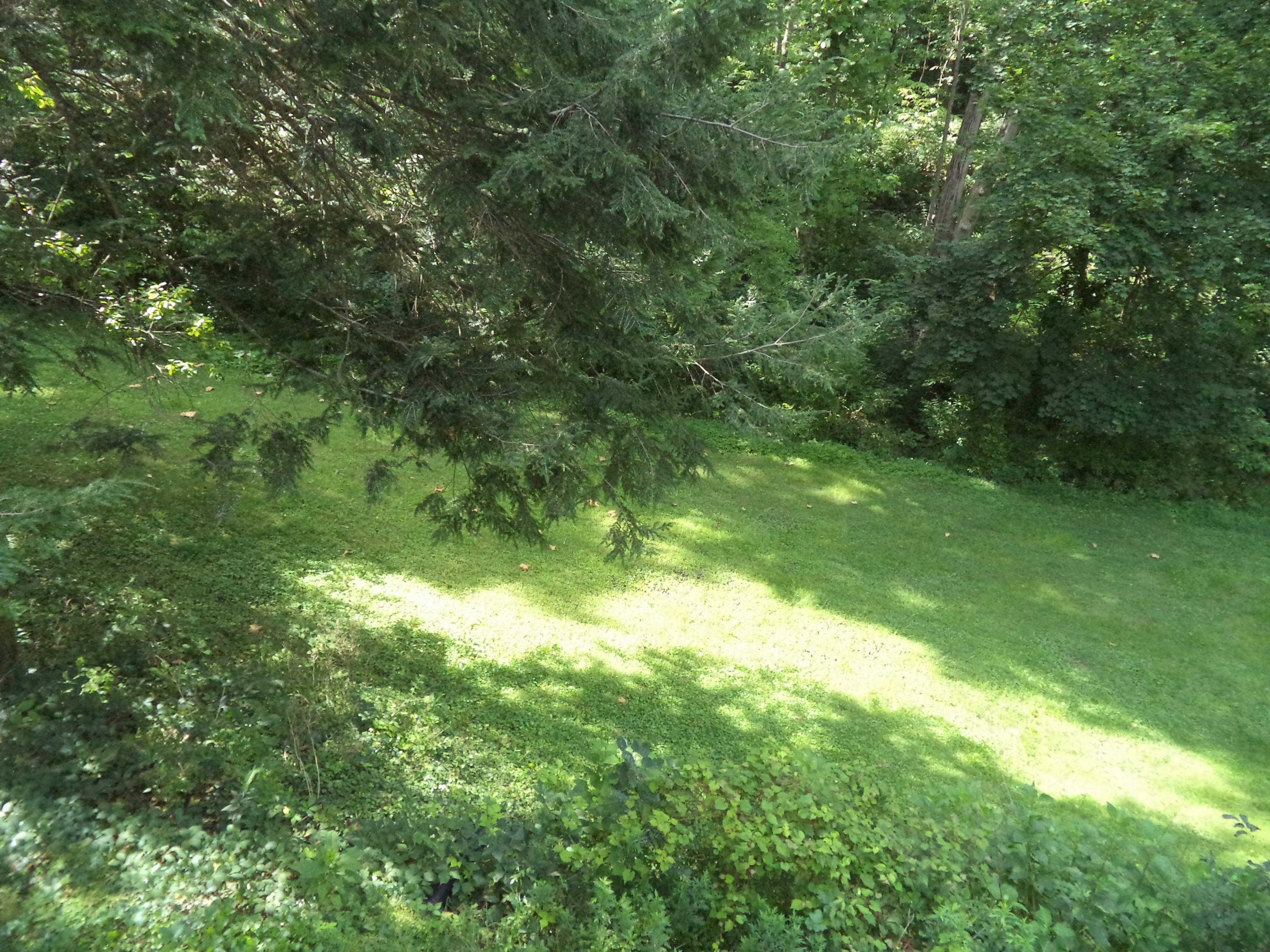 3221 Mud Lick Road Southwest Roanoke, VA 24018 - Photo 3 of 35 DSC03034