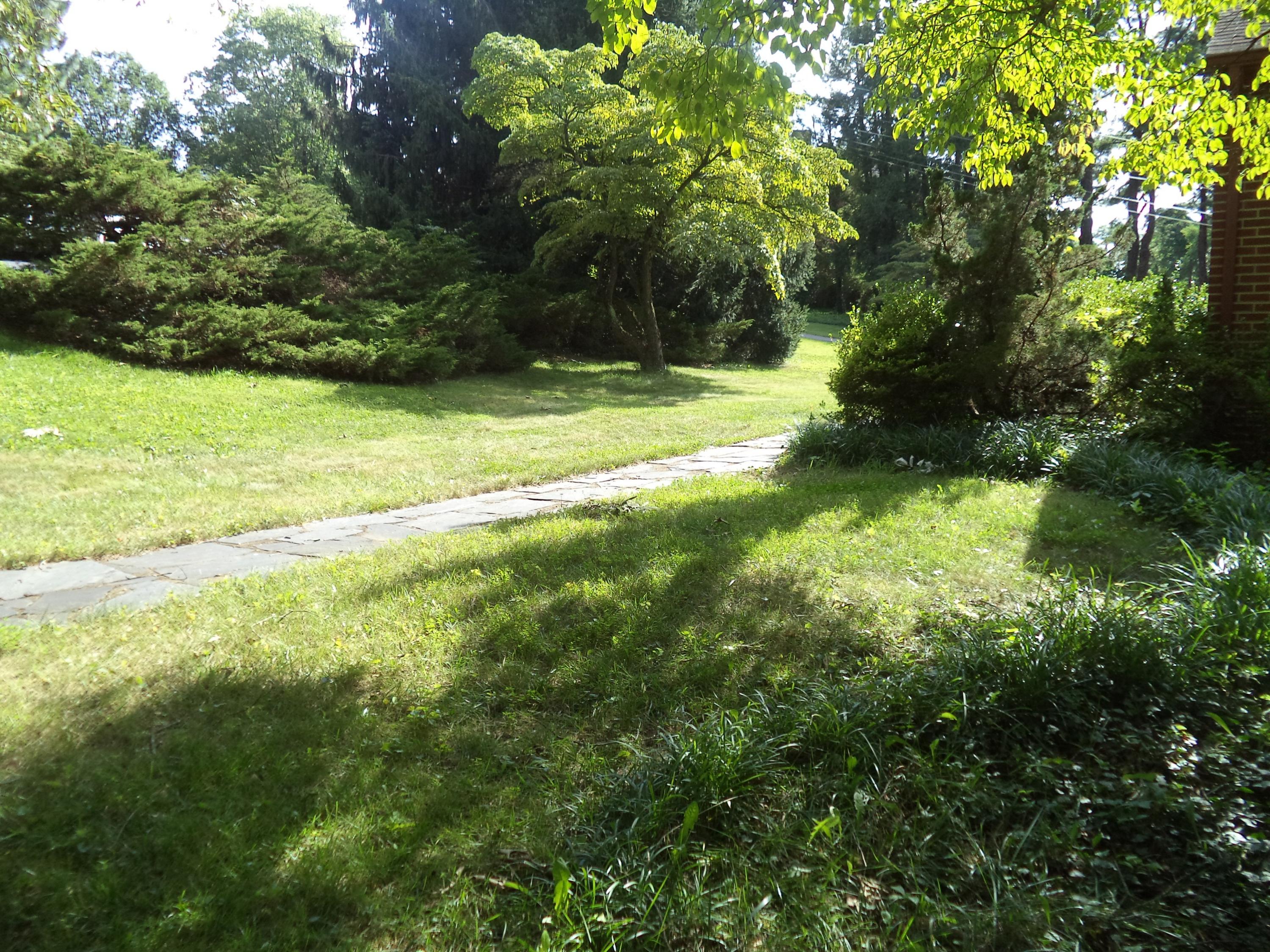 3221 Mud Lick Road Southwest Roanoke, VA 24018 - Photo 8 of 35 DSC03044