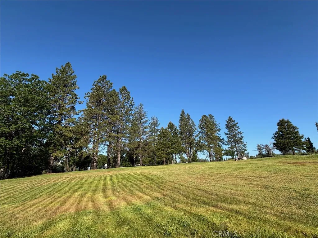 0 Libby Paradise, CA 95969 - Photo 1 of 11