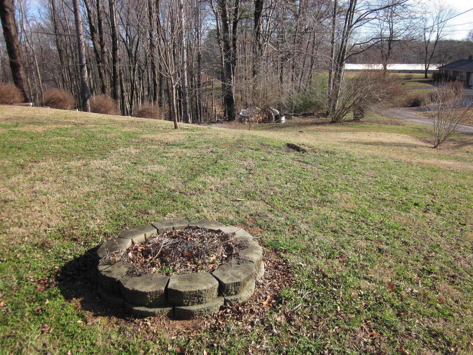 77 Pony Ridge Road Bassett, VA 24055 - Photo 71 of 84 a view of a backyard with plants and trees