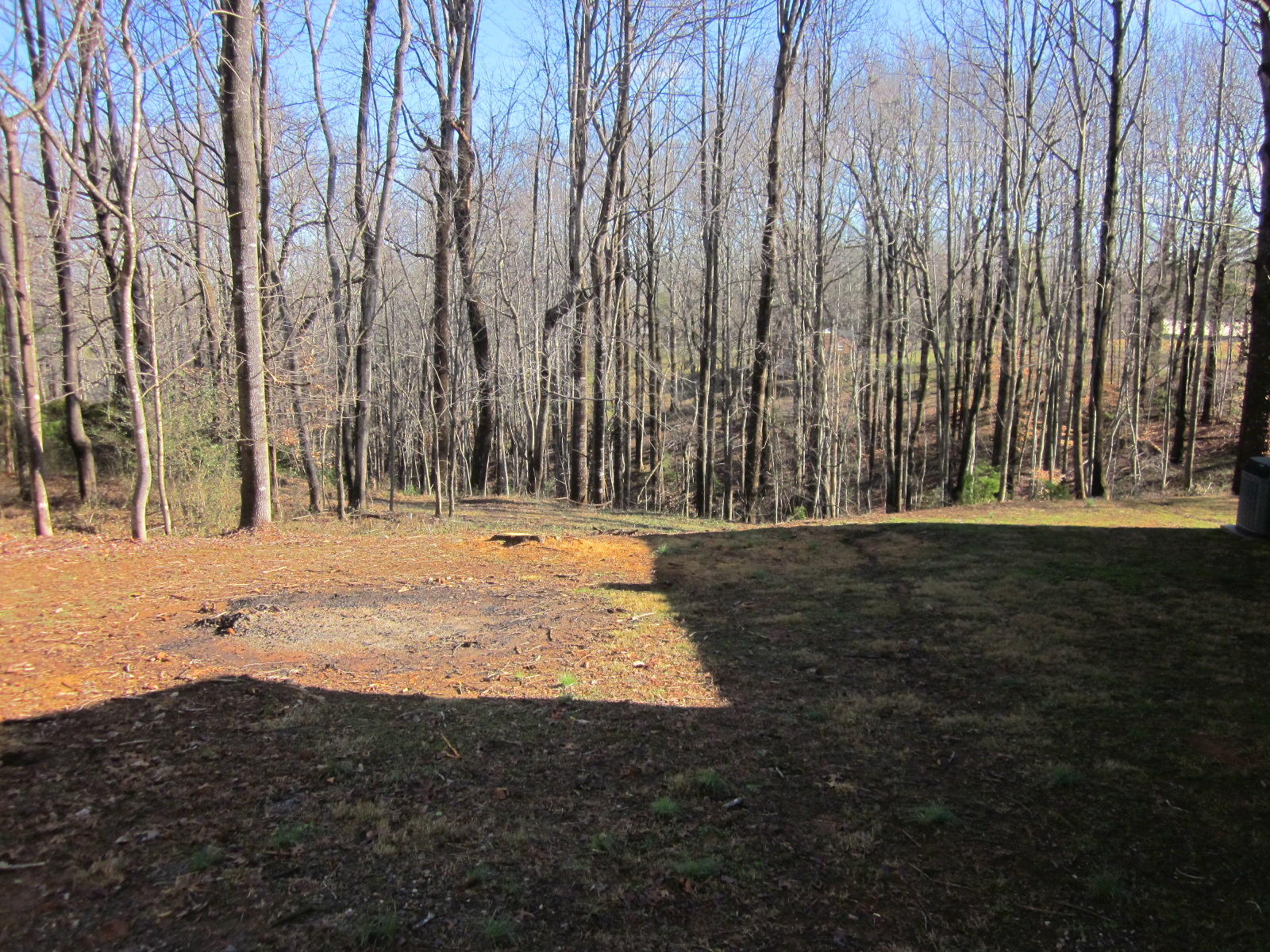 77 Pony Ridge Road Bassett, VA 24055 - Photo 76 of 84 a view of outdoor space with trees