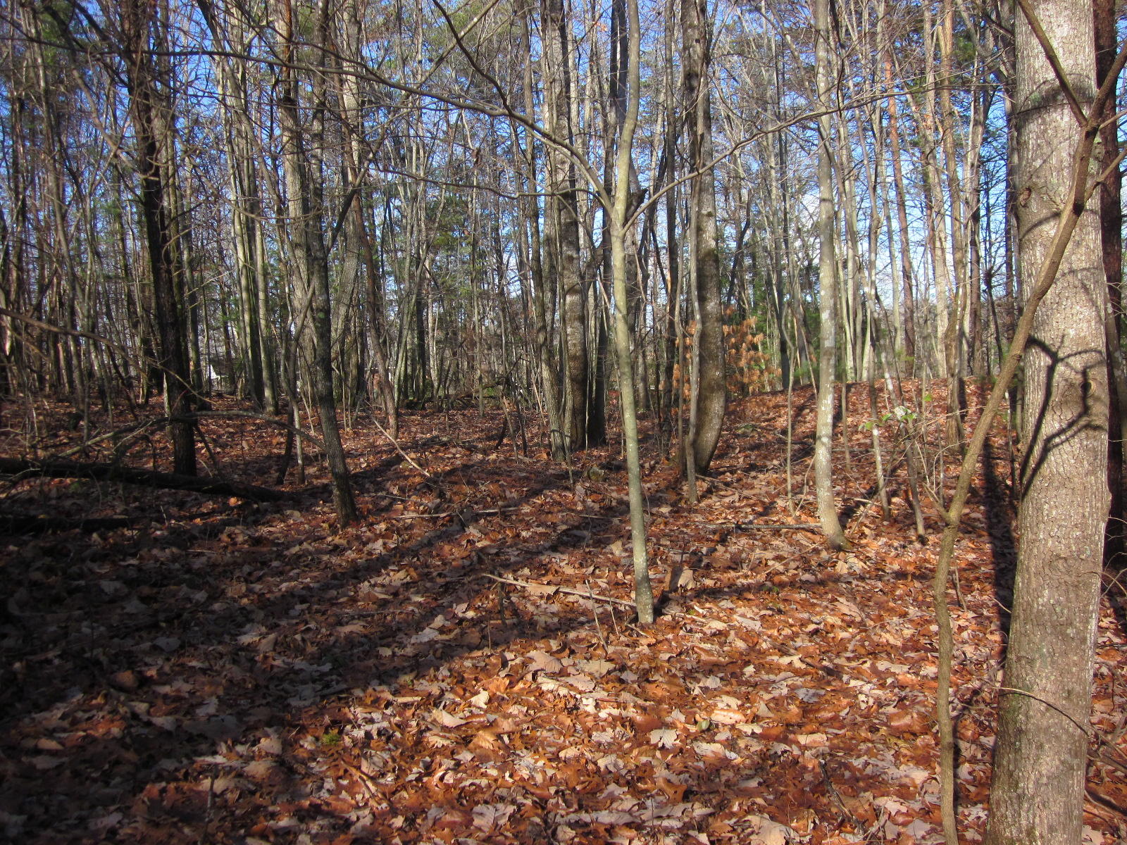 77 Pony Ridge Road Bassett, VA 24055 - Photo 80 of 84 Land