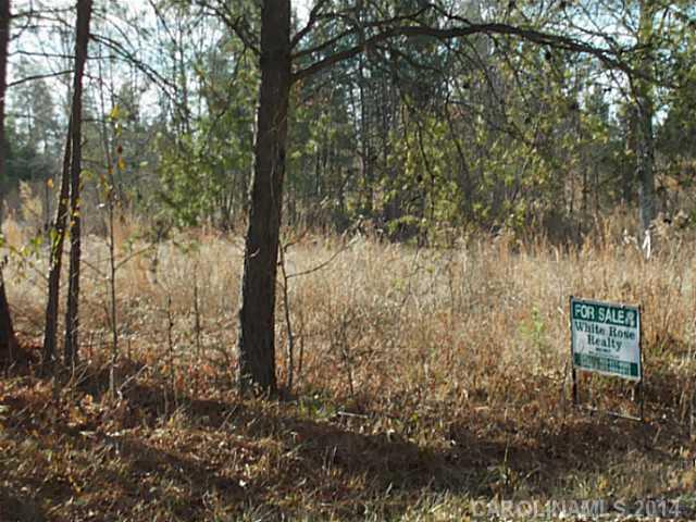 1025 Turkey Creek Ridge Road York, SC 29745 - Photo 1 of 3
