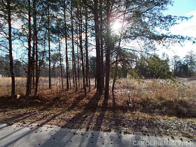 1025 Turkey Creek Ridge Road York, SC 29745 - Photo 2 of 3
