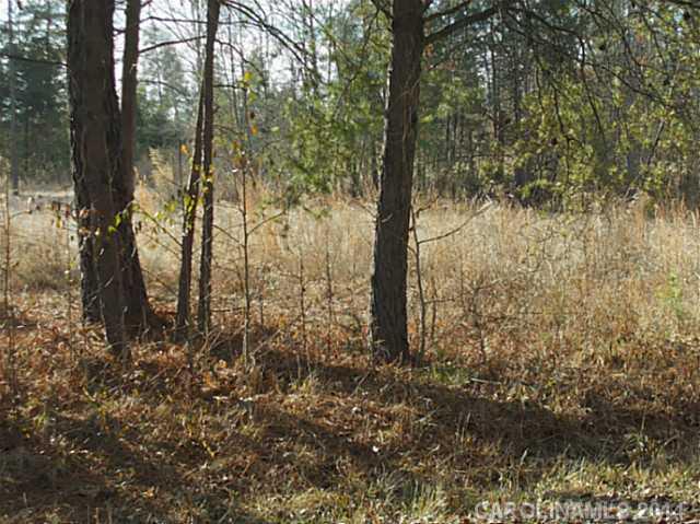1025 Turkey Creek Ridge Road York, SC 29745 - Photo 3 of 3