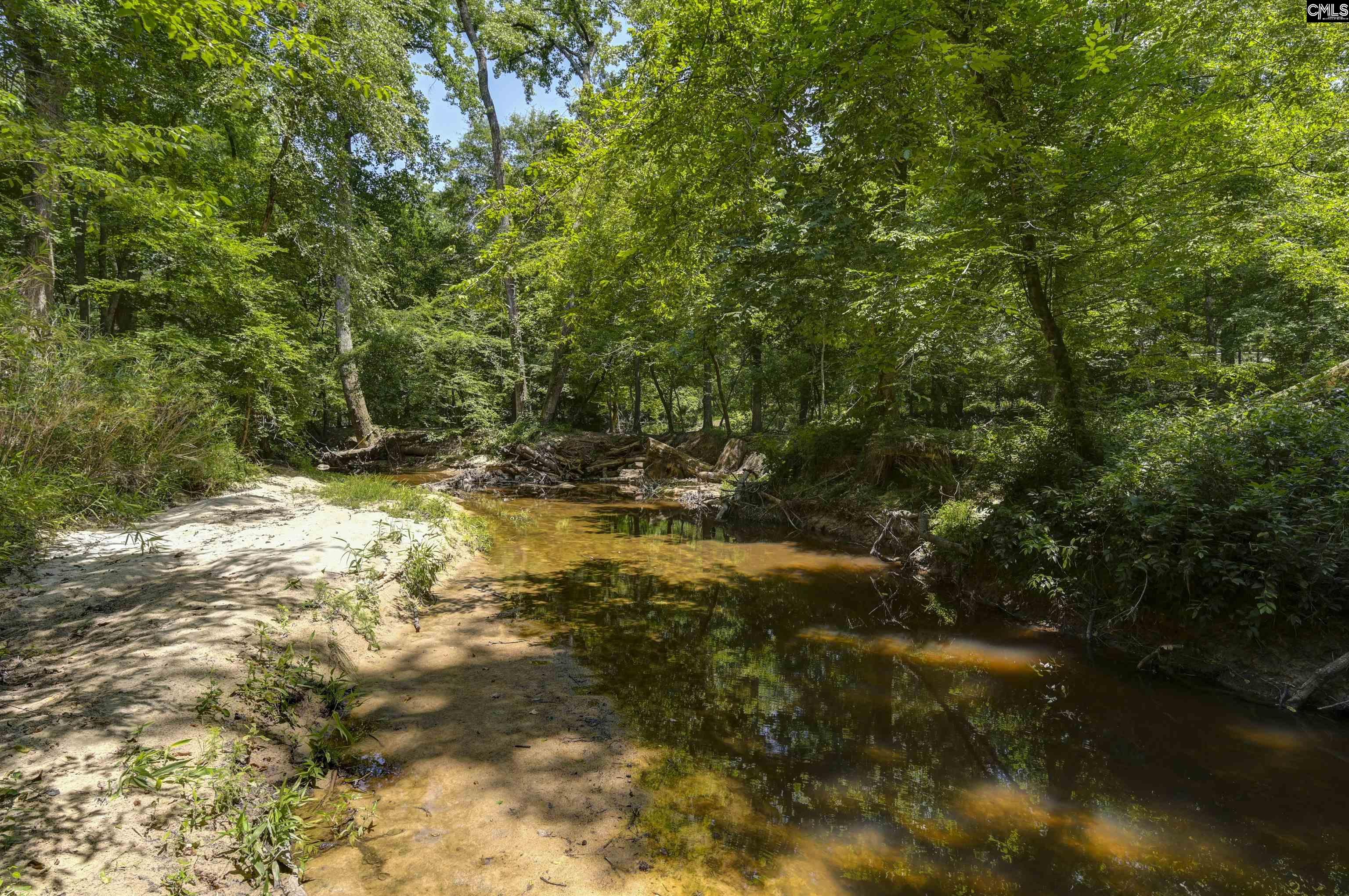 317 Horse Cove Road Gilbert, SC 29054 - Photo 36 of 86