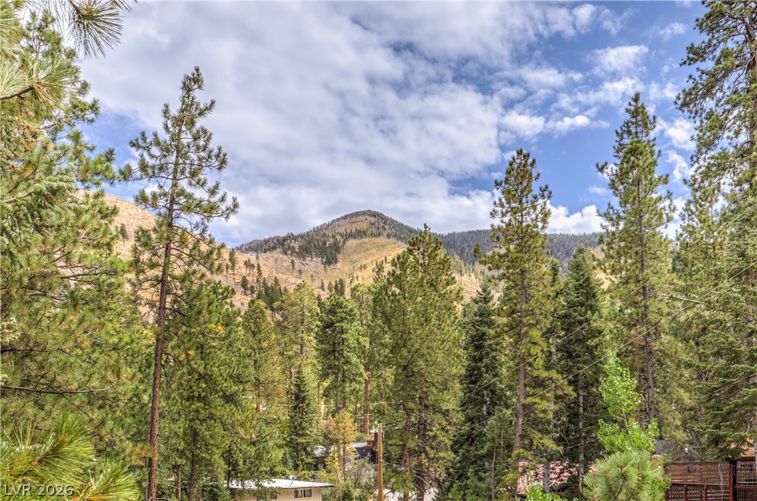 322 Ski Trail Road Mount Charleston, NV 89124 - Photo 48 of 58 Towering pines frame a dramatic mountain peak rising in the distance under blue skies.