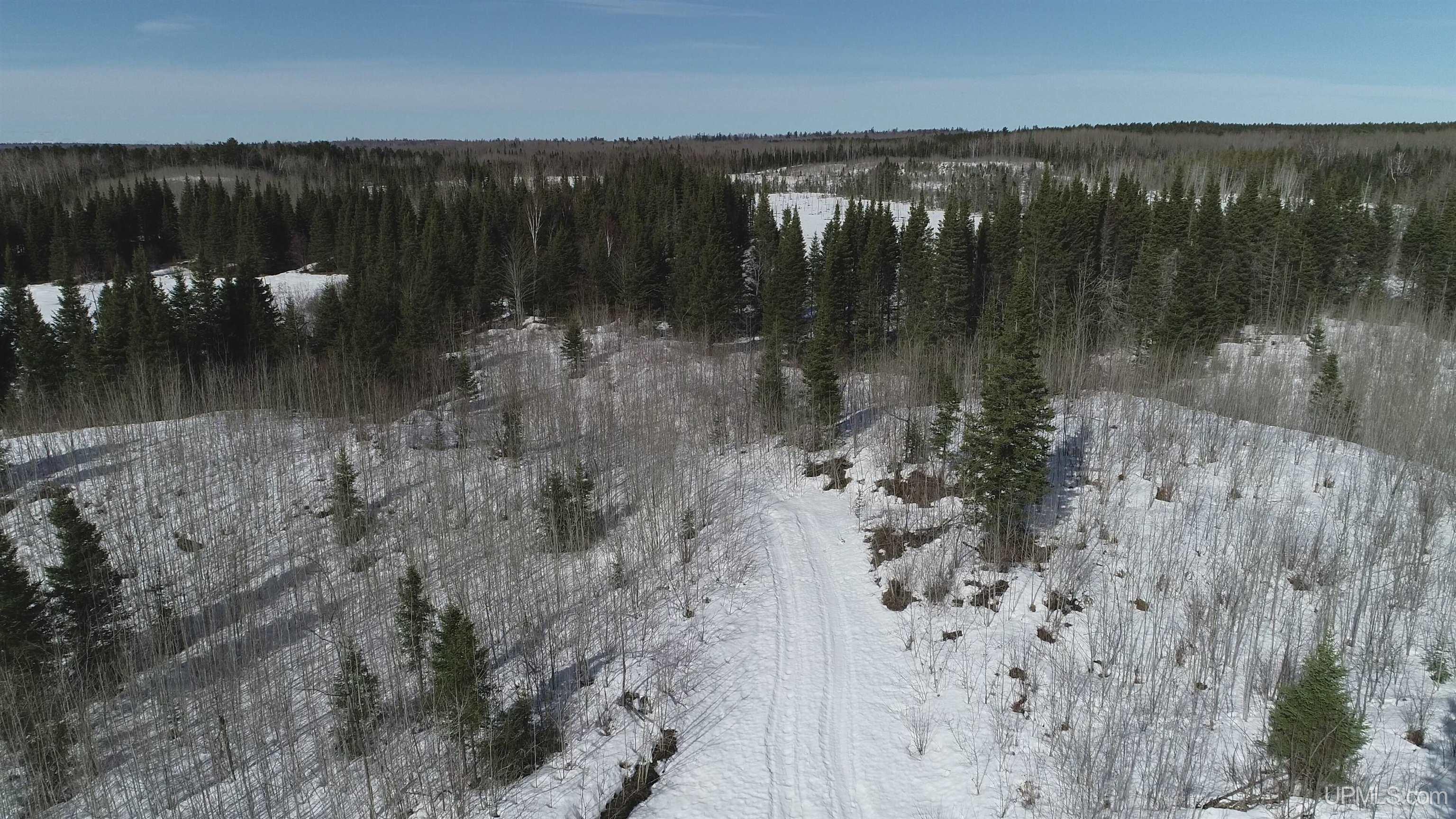 80-acres 80-acres 18th Road Republic, MI 49879 - Photo 13 of 25
