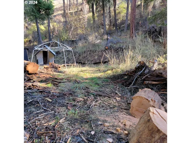 a view of outdoor space with lots of trees