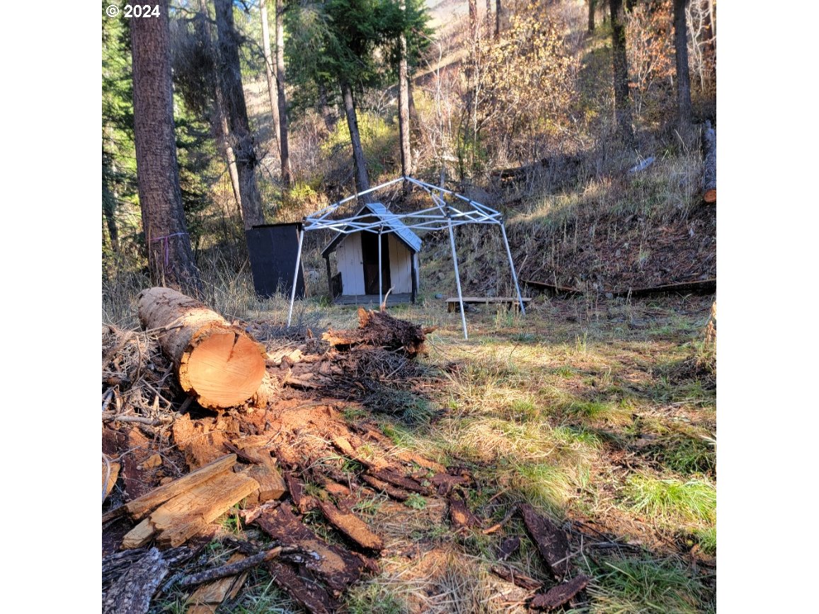 River Canyon Road, Unit TL 900 Imnaha, OR 97842 - Photo 3 of 10 a view of outdoor space with lots of trees