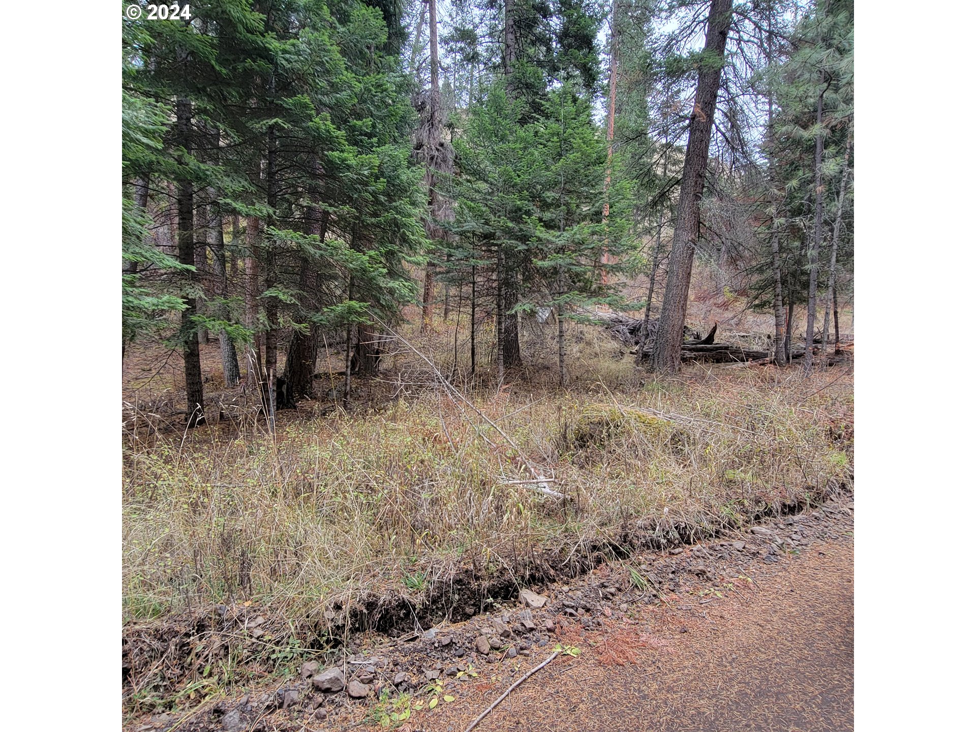 River Canyon Road, Unit TL 900 Imnaha, OR 97842 - Photo 9 of 10 a backyard of a house with lots of green space