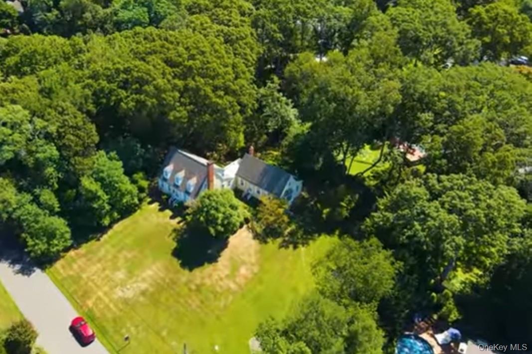 24 Hawkins Road Stony Brook, NY 11790 - Photo 20 of 45 a close up of a flower in a garden