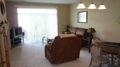 2422 Golf Ridge Circle Naperville, IL 60563 - Photo 3 of 15 a living room with furniture a flat screen tv and a window