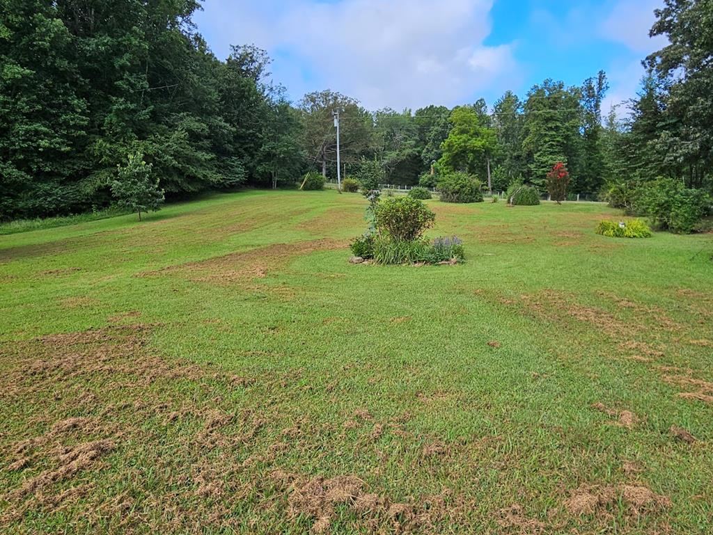 266 Legrande Road Dillwyn, VA 23936 - Photo 37 of 57 Gallery Image 37