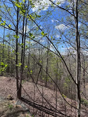 $14,500 | 0 High Pines Loop, Unit 158, Lake Lure, NC 28746