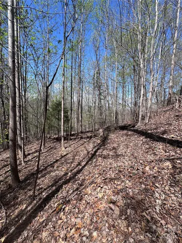 $14,500 | 0 High Pines Loop, Unit 158, Lake Lure, NC 28746