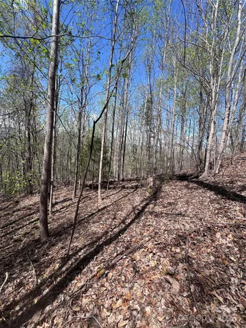 $14,500 | 0 High Pines Loop, Unit 158, Lake Lure, NC 28746