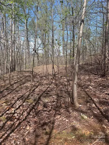 $14,500 | 0 High Pines Loop, Unit 158, Lake Lure, NC 28746