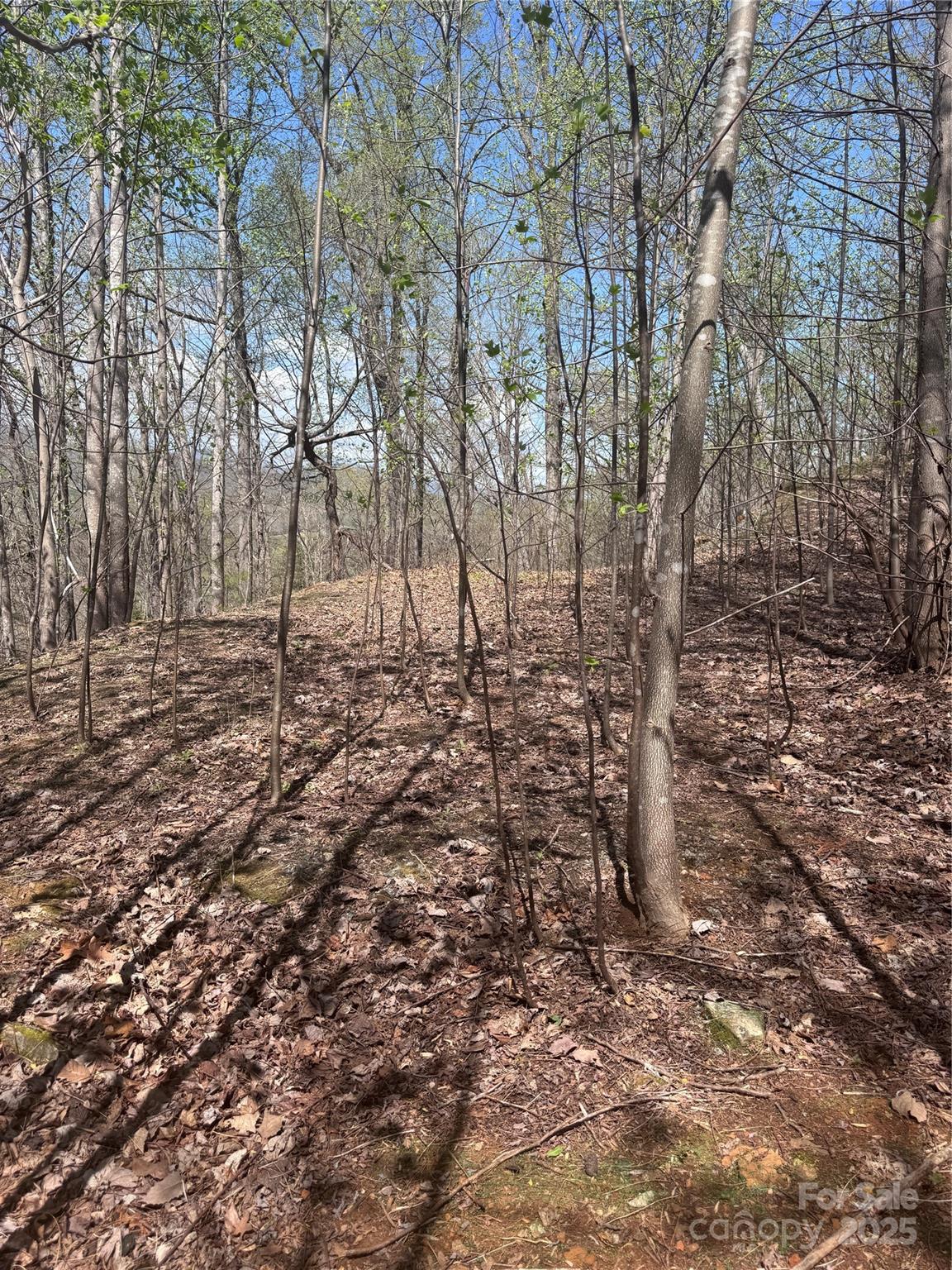 0 High Pines Loop, Unit 158 Lake Lure, NC 28746 - Photo 4 of 13