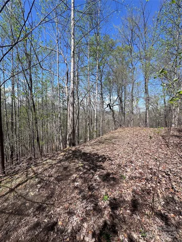 $14,500 | 0 High Pines Loop, Unit 158, Lake Lure, NC 28746