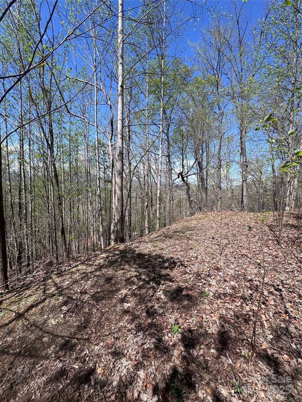 0 High Pines Loop, Unit 158 Lake Lure, NC 28746 - Photo 5 of 13