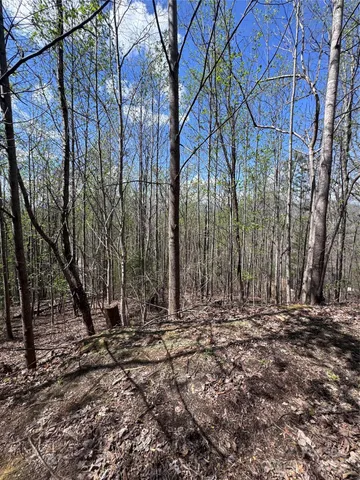 $14,500 | 0 High Pines Loop, Unit 158, Lake Lure, NC 28746