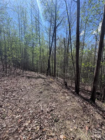 $14,500 | 0 High Pines Loop, Unit 158, Lake Lure, NC 28746